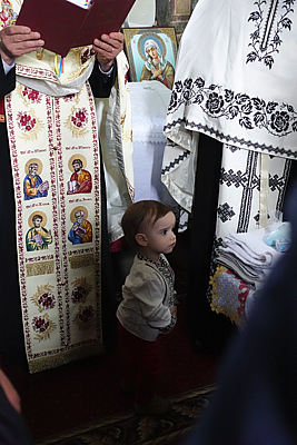 Pour agrandir cliquer sur la vignette DSC01719.JPG