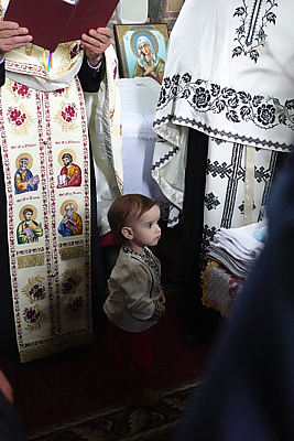 Pour agrandir cliquer sur la vignette DSC01721.JPG